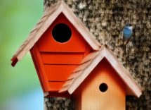 Come costruire una voliera per uccelli