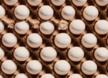 È nato prima l’uovo o la gallina