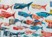 perche si dice pesce daprile