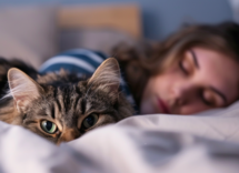 Perché il gatto ti fissa mentre dormi