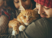 Perché il gatto "si mette in mezzo" quando ci abbracciamo