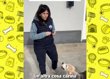 dailymotion poster 93408