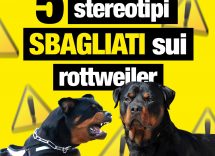 dailymotion poster 93429