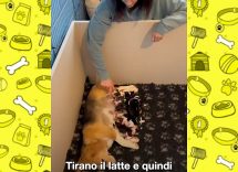 dailymotion poster 93453