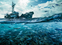 5 curiosità sulla Giornata contro la Pesca Illegale