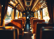 Cane e gatto in treno, viaggi con animali