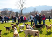 tasse sui cani a bolzano impatti per residenti e turisti python 1759204114