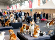 petsfestival 2025 levento da non perdere per gli appassionati di animali 1760310397